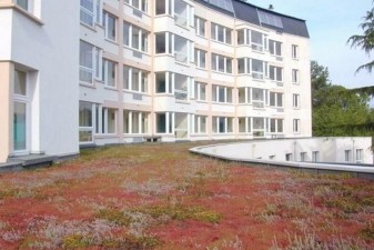 eco-habitat toiture végétalisée