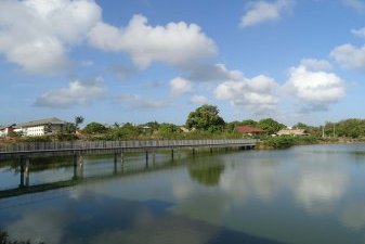 écohabitat neuf Guyane