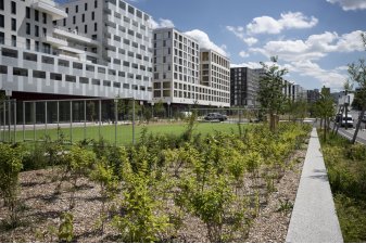 La biodiversité labellisée au cœur de Nanterre Université